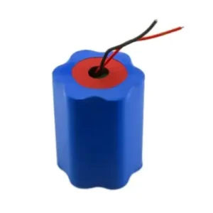18650 4400mAh 11.1V 2P3S Lithium Polymer Battery Customization